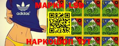 молекула духа Новодвинск