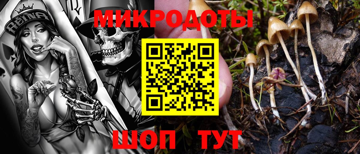 Псилоцибиновые грибы Psilocybine cubensis Рузаевка