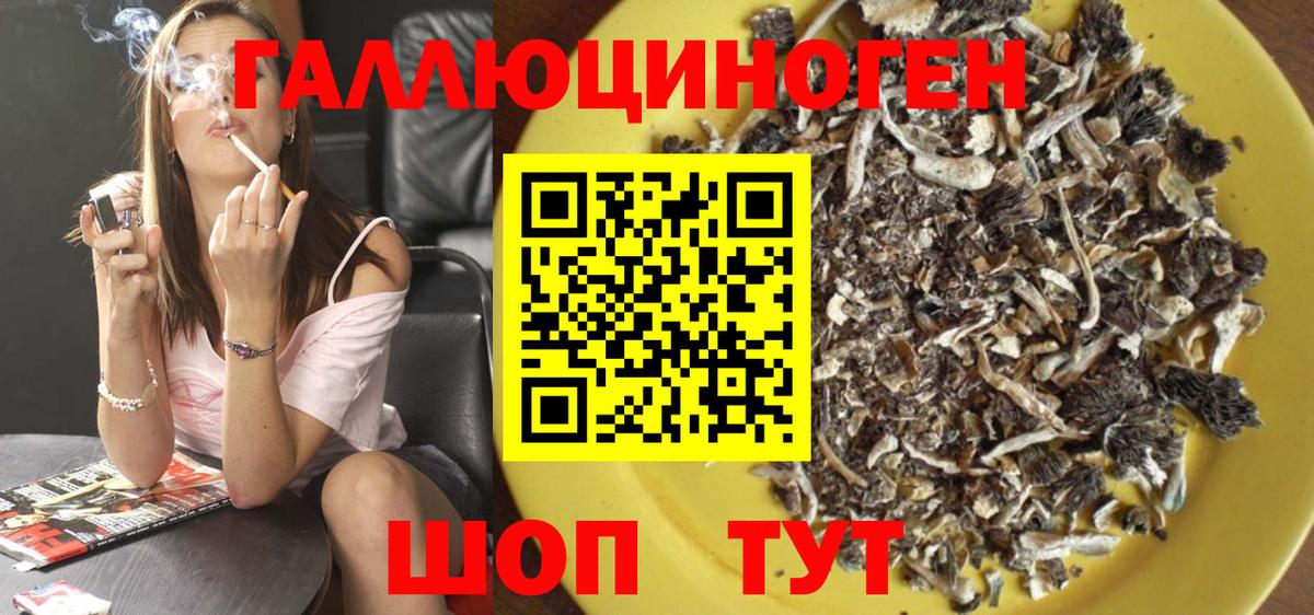 Галлюциногенные грибы Psilocybe  Вход с VPN  Рузаевка 